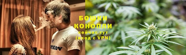 PSILOCYBIN Бронницы