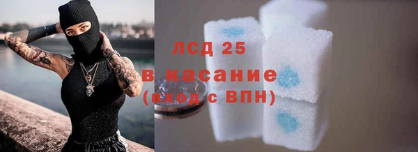 PSILOCYBIN Бронницы
