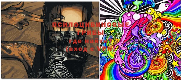 PSILOCYBIN Бронницы