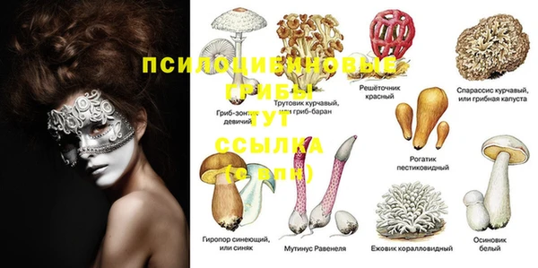 мяу мяу кристалл Бородино