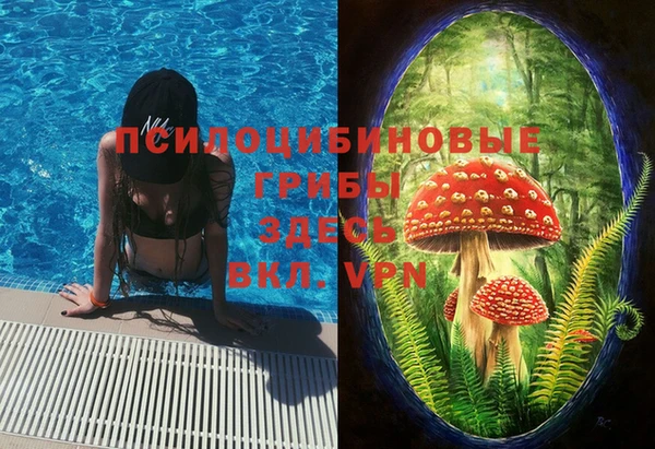 PSILOCYBIN Бронницы