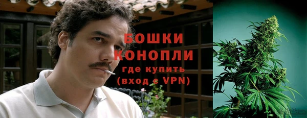 PSILOCYBIN Бронницы
