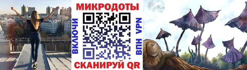 Псилоцибиновые грибы GOLDEN TEACHER  наркотики  Тбилисская 